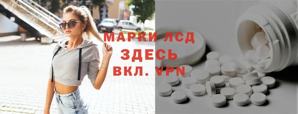 PSILOCYBIN Алзамай