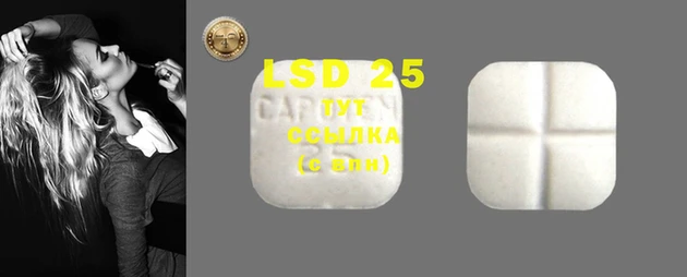 spice Инта