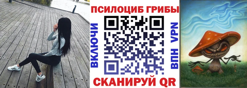сколько стоит  Мышкин  Галлюциногенные грибы мухоморы 