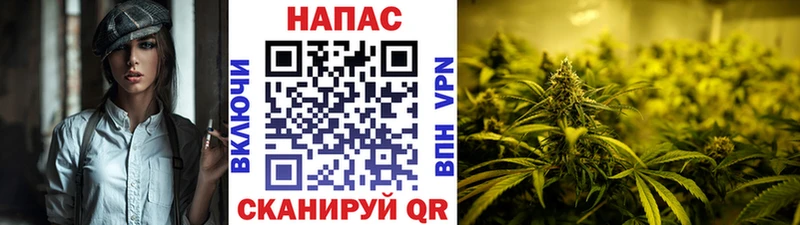 Марихуана ГИДРОПОН  гидра зеркало  Мышкин  даркнет сайт 